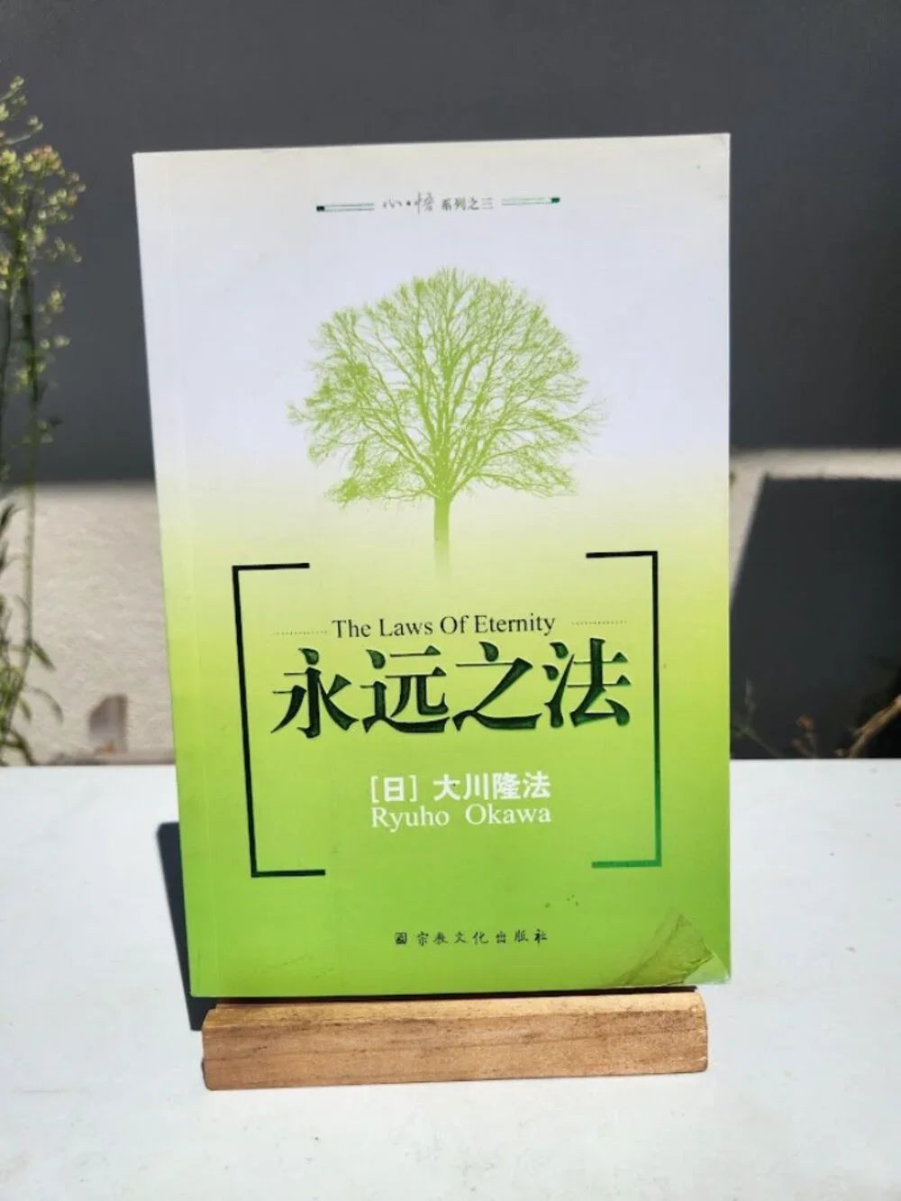 The Laws of Eternity by Ryuho Okawa Chinese edition Happy Science Religious Move